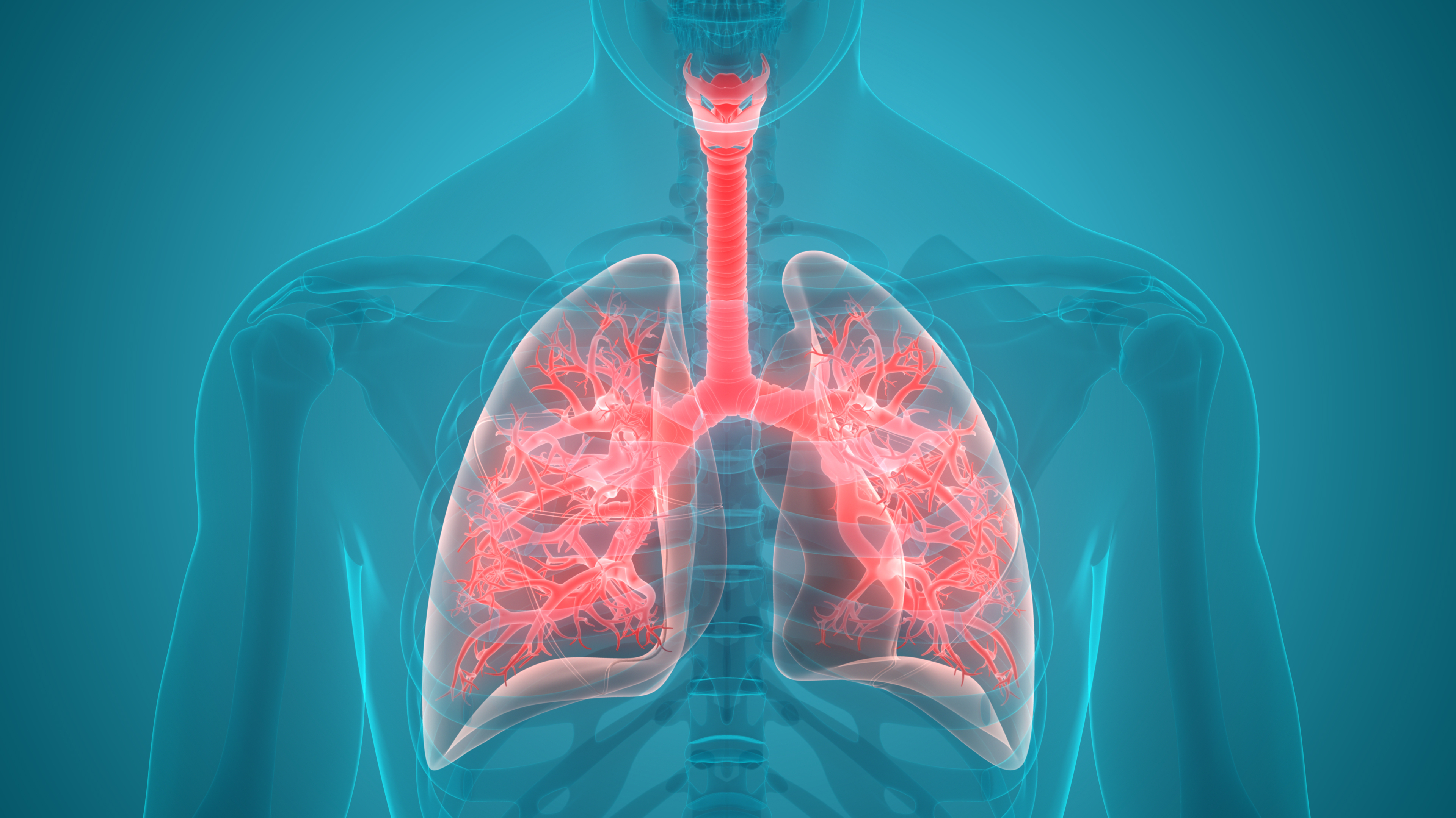 国际肺癌日 ▏综合管理肺癌与肺结节 微创介入开启新格局
